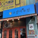 정자동 맛집, 즉석 떡볶이 고양이부엌 후기 [ 내돈내산 ]
