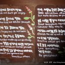 허브나라 자작나무집