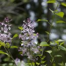 원종한일 이미지