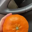 지영농장(2농장) 이미지