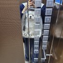 고양삼송스타필드 개모차 펫유모차대여 후기 / 애견동반 식당거리