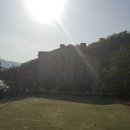 수영장펜션 이미지