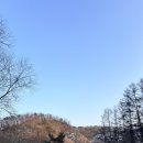 강원도 홍천 힐리언스 선마을 숲속동 디럭스 1박 후기 식사 부대시설 카페