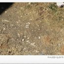 옥토굼벵이농장 네이버블로그