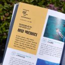 책- 팔로우괌! 괌 여행 감성 여행 준비 솔직 후기2026-2027 괌여행 안내 가이드북 추천 트래블라이크