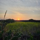 하도바다 이미지