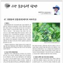 푸른신문 연재물 / 47. 남평문씨 인흥(본리)세거지 이야기(2) 이미지