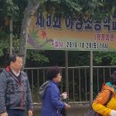 하성초등학교 이미지