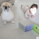 [후추네육아일기]탄생~100일 기록 모유수유부터 신생아 검진, 신생아 용품, 백일잔치 준비까지