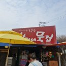 건강삼계탕 | 파주 맛집 파주할머니 묵집 한방삼계탕 도토리묵무침 후기 (건강한 한 끼 추천)