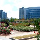 꽃향기 머무는 곳 이미지