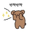 일등카서비스 이미지