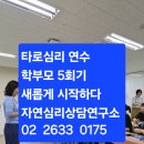 학부모 타로심리 교육 이미지