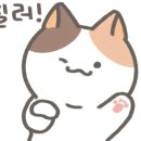 청년피자포항 이미지