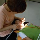 이엘치과의원 이미지