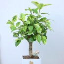 채움부동산중개사무소 이미지