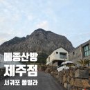 음악과 인문학을 통한 힐링 여행 | 제주풀빌라 메종산방 제주점 5인 가족 여행 숙소추천 제주힐링여행 후기
