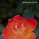 울산광역시립노인병원 | 추천 울주군 쾌적한 요양원 울산광역시립노인요양원 안심하고 맡길 수 있는