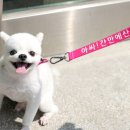 에듀펜샵 이미지