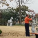 영관농장 이미지