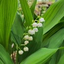 송한농장 이미지