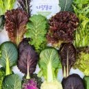 지평농장 이미지