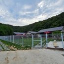 아요하우스 이미지