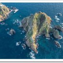 충일투어 네이버블로그
