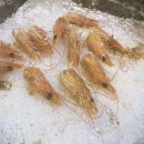 동부회센타