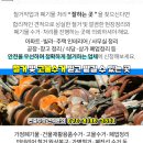 아이엔유 포비스타 오피스텔 이미지