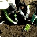 와리농장 이미지