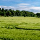 자연을향한대화 이미지