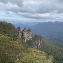 블루마운틴 이미지