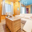 에스엔제이 이미지