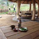 초가민박 Daum카페