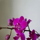 은혜머리마당 이미지