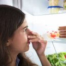 인터넷피아21 이미지