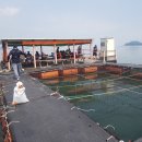 덕진호 좌대낚시터 이미지