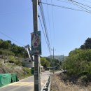 광암마트 | 동두천 산야초캠핑장 꽃, 나무 자연 속에서 1박 추천...수거장 시설 리뷰, 후기입니다. 산야초자연캠핑장!