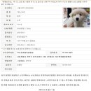 러브펫종합동물병원 이미지