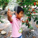 문희농장 이미지