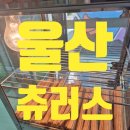 약수초등학교 병설유치원 이미지