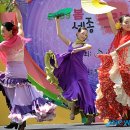 축제의 바다 이미지