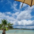 처남목장 | 8월 제주 가족 여행 후기(표선 둘레길 러닝, 절물자연휴양림, 김녕해수욕장 스노쿨링, 해안 도로 전기...