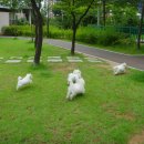 솔안공원 앞