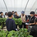 점암농장 이미지