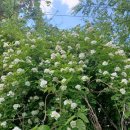 태농농장 이미지