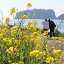 법환동-17 이미지