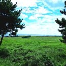 오후게스트하우스 이미지