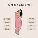 노브필라테스